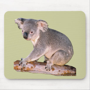 Alfombrilla De Ratón Koala Mousepadd