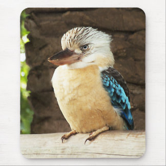 Alfombrilla De Ratón Kookaburra
