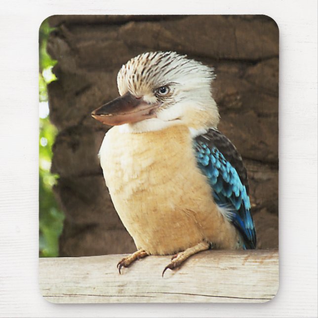 Alfombrilla De Ratón Kookaburra (Frente)