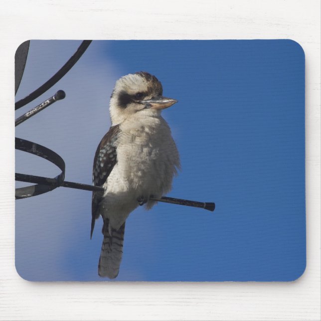 Alfombrilla De Ratón Kookaburra (Frente)