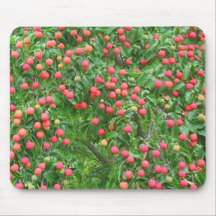 Alfombrilla De Ratón Kousa Dogwood Mousepad