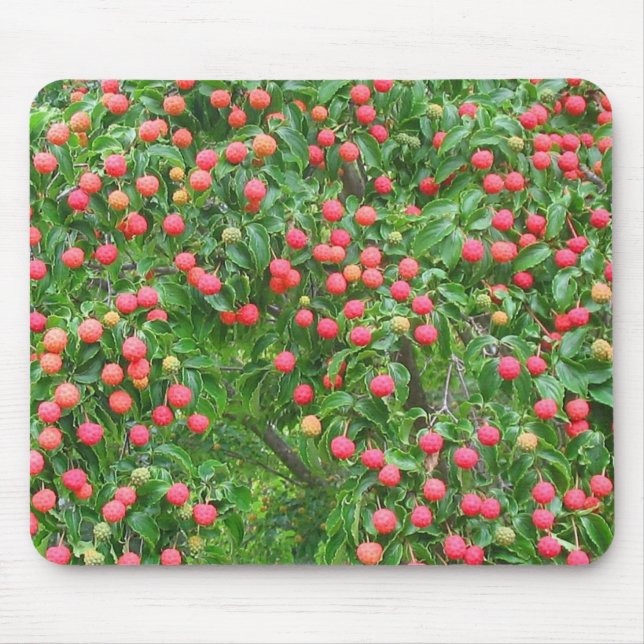 Alfombrilla De Ratón Kousa Dogwood Mousepad (Frente)