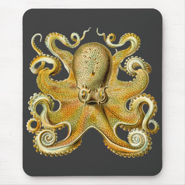 Alfombrilla De Ratón Kraken vintage, Gamochonia octopus, Ernst Haeckel (Frente)