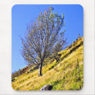 ALFOMBRILLA DE RATÓN L0NE TREE