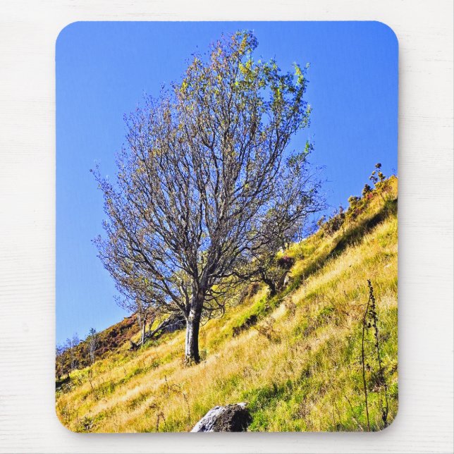 ALFOMBRILLA DE RATÓN L0NE TREE (Frente)