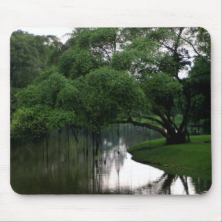 Alfombrilla De Ratón La calma riega Mousepad