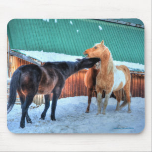 Alfombrilla De Ratón La divertida fotografía equina de dos caballos