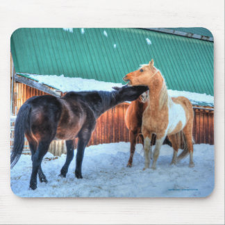 Alfombrilla De Ratón La divertida fotografía equina de dos caballos