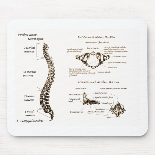 Alfombrilla De Ratón La espina dorsal detalla sepia (Frente)