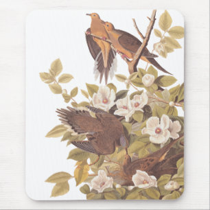 Alfombrilla De Ratón La estufa de tortuga de Audubon