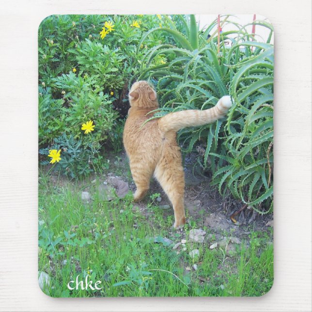 Alfombrilla De Ratón La favorita del barrio (Frente)