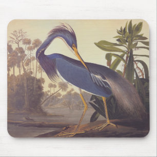 Alfombrilla De Ratón La garza de Luisiana de Audubon o la garza tricolo