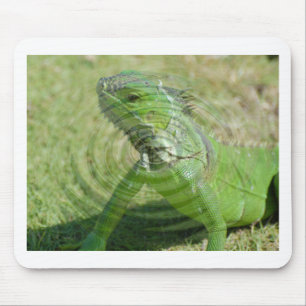 Alfombrilla De Ratón La Iguana Verde