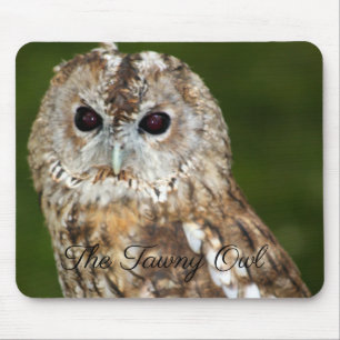 Alfombrilla De Ratón La lechuza Tawny