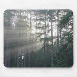 Alfombrilla De Ratón La mañana irradia Mousepad
