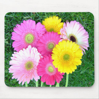 Alfombrilla De Ratón La margarita del Gerbera colorea Mousepad