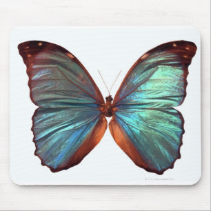 Alfombrilla De Ratón La mariposa con las alas separó 2
