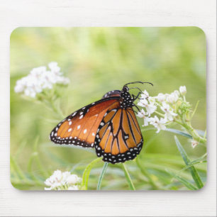 Alfombrilla De Ratón La mariposa reina al sol en Milkweed