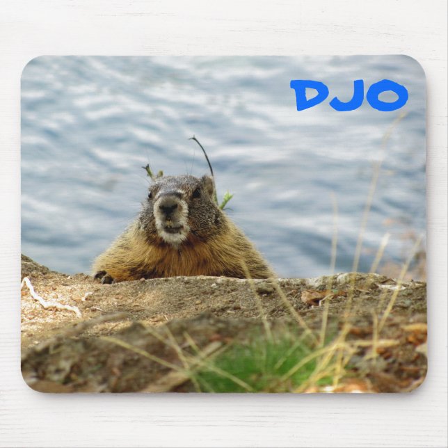 Alfombrilla De Ratón ¿La marmota de Spokane dice, "sorbo? ¿Consiguió (Frente)