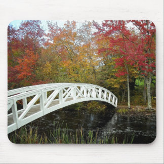 Alfombrilla De Ratón La mayoría fotografiaron el punto