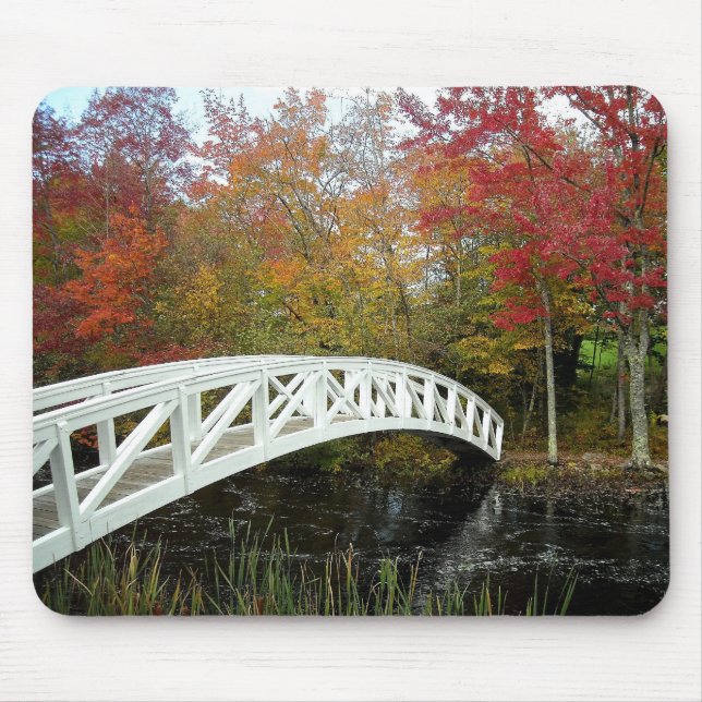 Alfombrilla De Ratón La mayoría fotografiaron el punto (Frente)