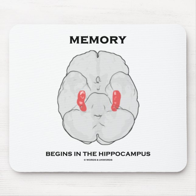 Alfombrilla De Ratón La Memoria Comienza En El Hippocampus (Psicología) (Frente)