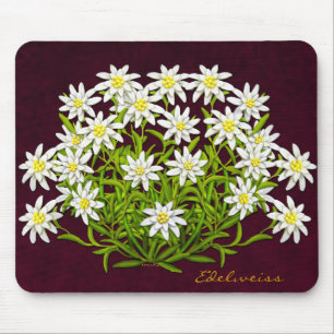 Alfombrilla De Ratón La montaña suiza Edelweiss florece Mousepad