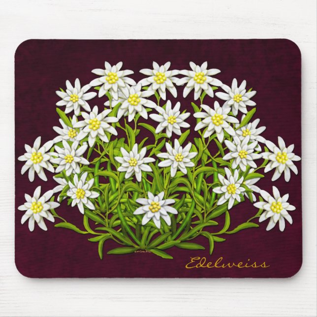 Alfombrilla De Ratón La montaña suiza Edelweiss florece Mousepad (Frente)