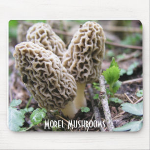 Alfombrilla De Ratón La morilla prolifera rápidamente Mousepad