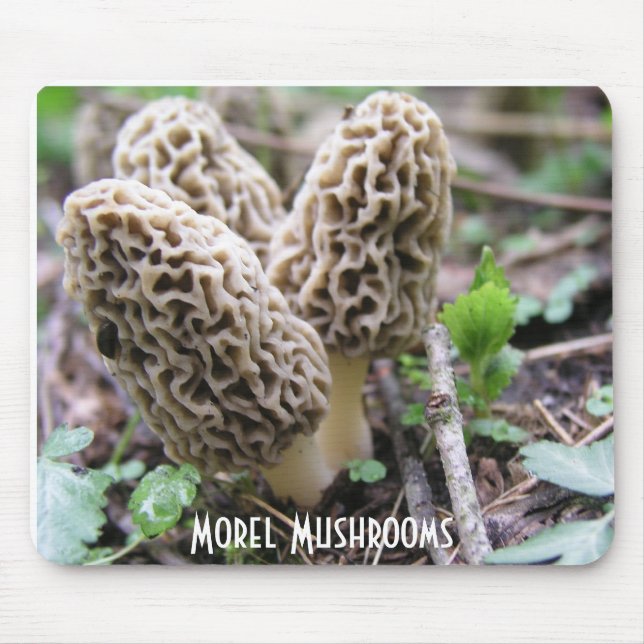 Alfombrilla De Ratón La morilla prolifera rápidamente Mousepad (Frente)