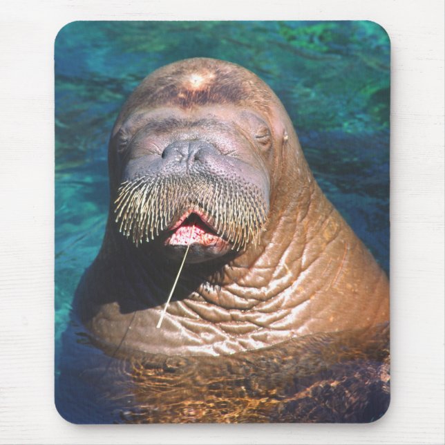 Alfombrilla De Ratón La morsa observa Mousepad cerrado (Frente)