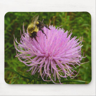 Alfombrilla De Ratón La naturaleza de la flor del cardo