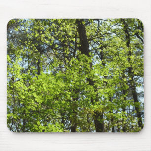 Alfombrilla De Ratón La naturaleza de las hojas de arce de primavera