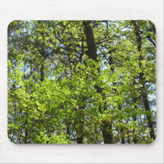 Alfombrilla De Ratón La naturaleza de las hojas de arce de primavera