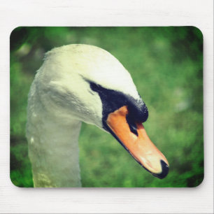 Alfombrilla De Ratón La Naturaleza De Los Cisne De Reyes