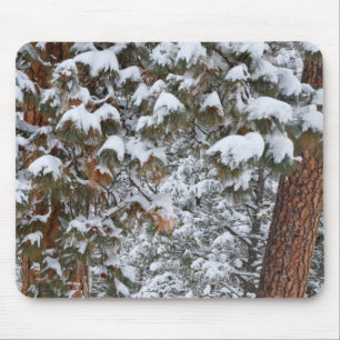 Alfombrilla De Ratón La nieve llena las ramas de los pinos ponderosa