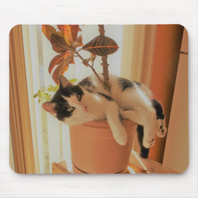 Alfombrilla De Ratón La recortadora de chapas es Catnipping (Frente)