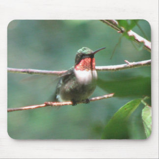 Alfombrilla De Ratón La Rubí-garganta agita Mousepad