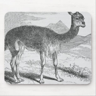 Alfombrilla De Ratón La vicuña en la Río de Azufre