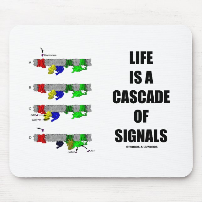 Alfombrilla De Ratón La vida es una cascada de las señales (la (Frente)