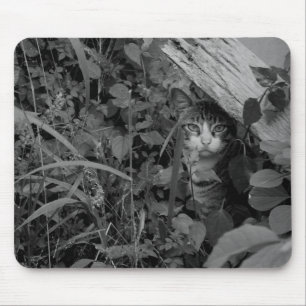 Alfombrilla De Ratón La vivienda de un vagabundo