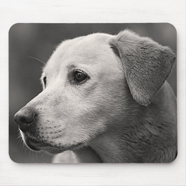 Alfombrilla De Ratón Labrador amarillo, perro cachorro, Mousepad (Frente)