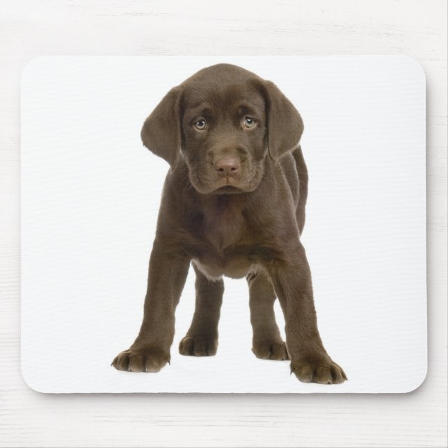 Alfombrilla De Ratón Labrador Chocolate recuperar Mousepad perro cachor (Frente)