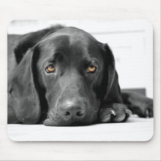 Alfombrilla De Ratón Labrador negro