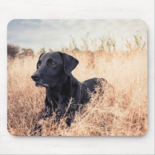 Alfombrilla De Ratón Labrador Negro En Grasa Seca