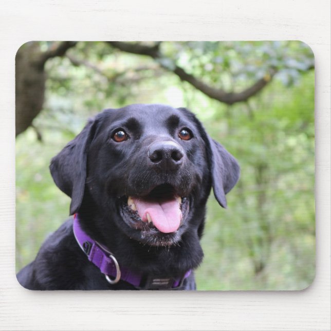 Alfombrilla De Ratón Labrador negro feliz (Frente)