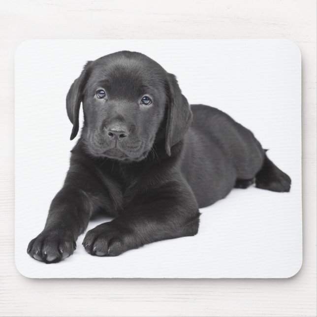 Alfombrilla De Ratón Labrador negro recuperar Mousepad cachorro (Frente)