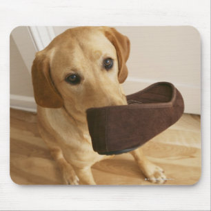Alfombrilla De Ratón Labrador perrito de nuevo con zapatilla