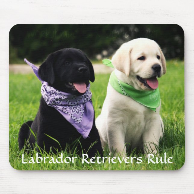 Alfombrilla De Ratón Labrador recupera la regla cachorros Mousepad (Frente)