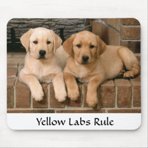 Alfombrilla De Ratón Labrador recupera la regla cachorros Mousepad